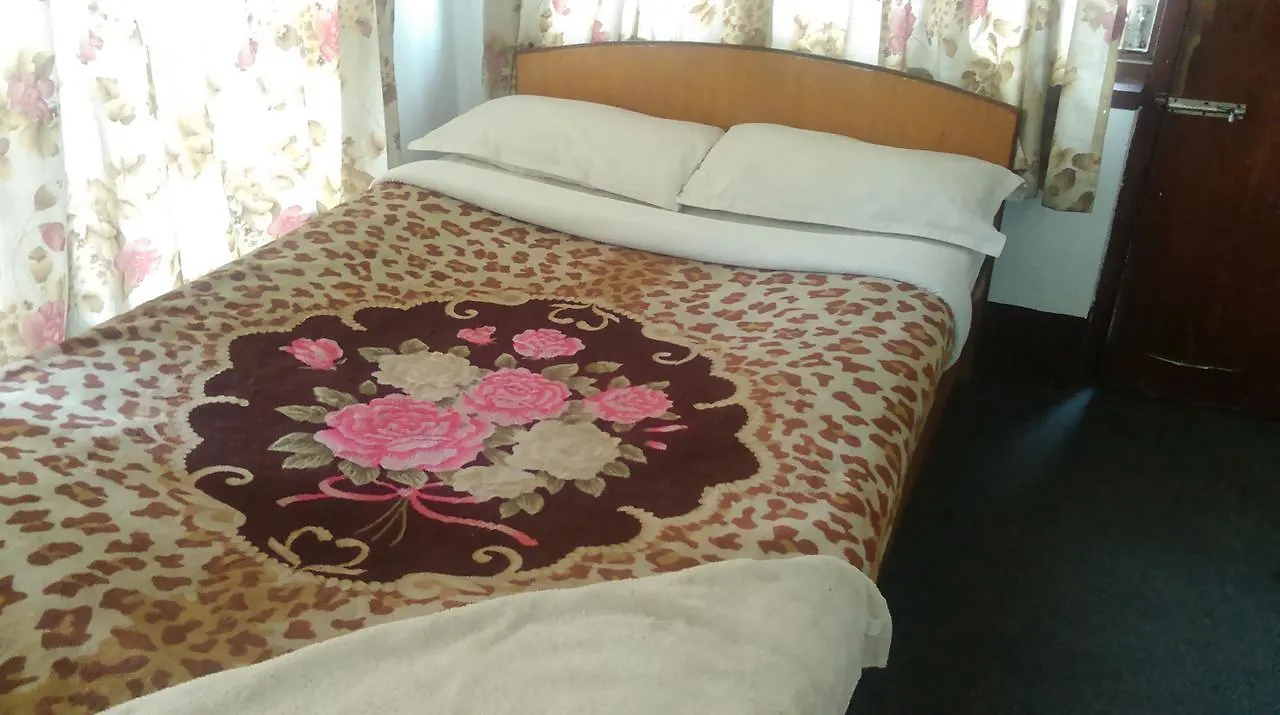Hotel Down Town Kathmandu
